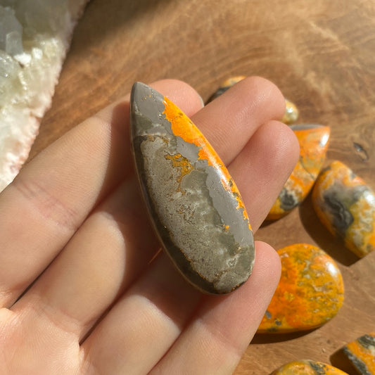 Bumbelbee Cabochon ~ 14ACA