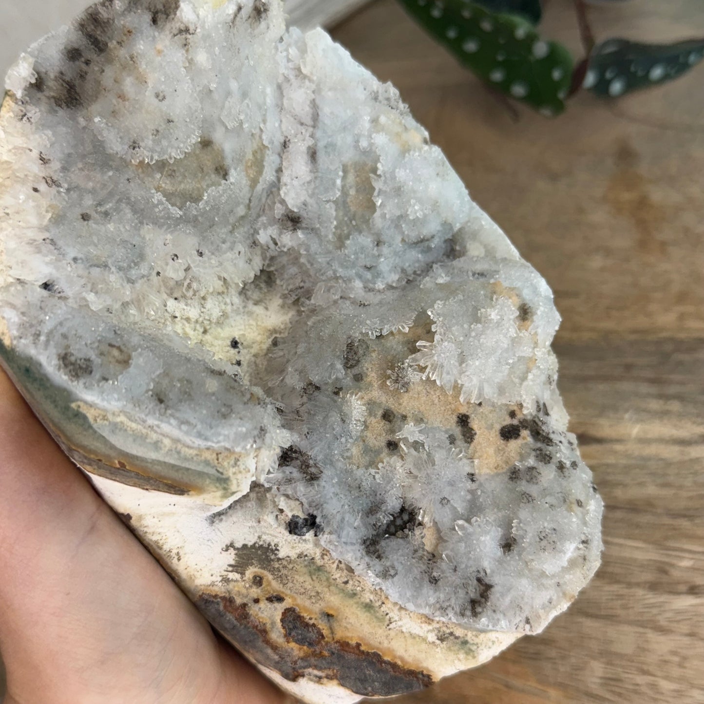 Grüner chalcedon ~ W75