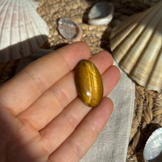 Tigerauge Cabochon ~ TV7