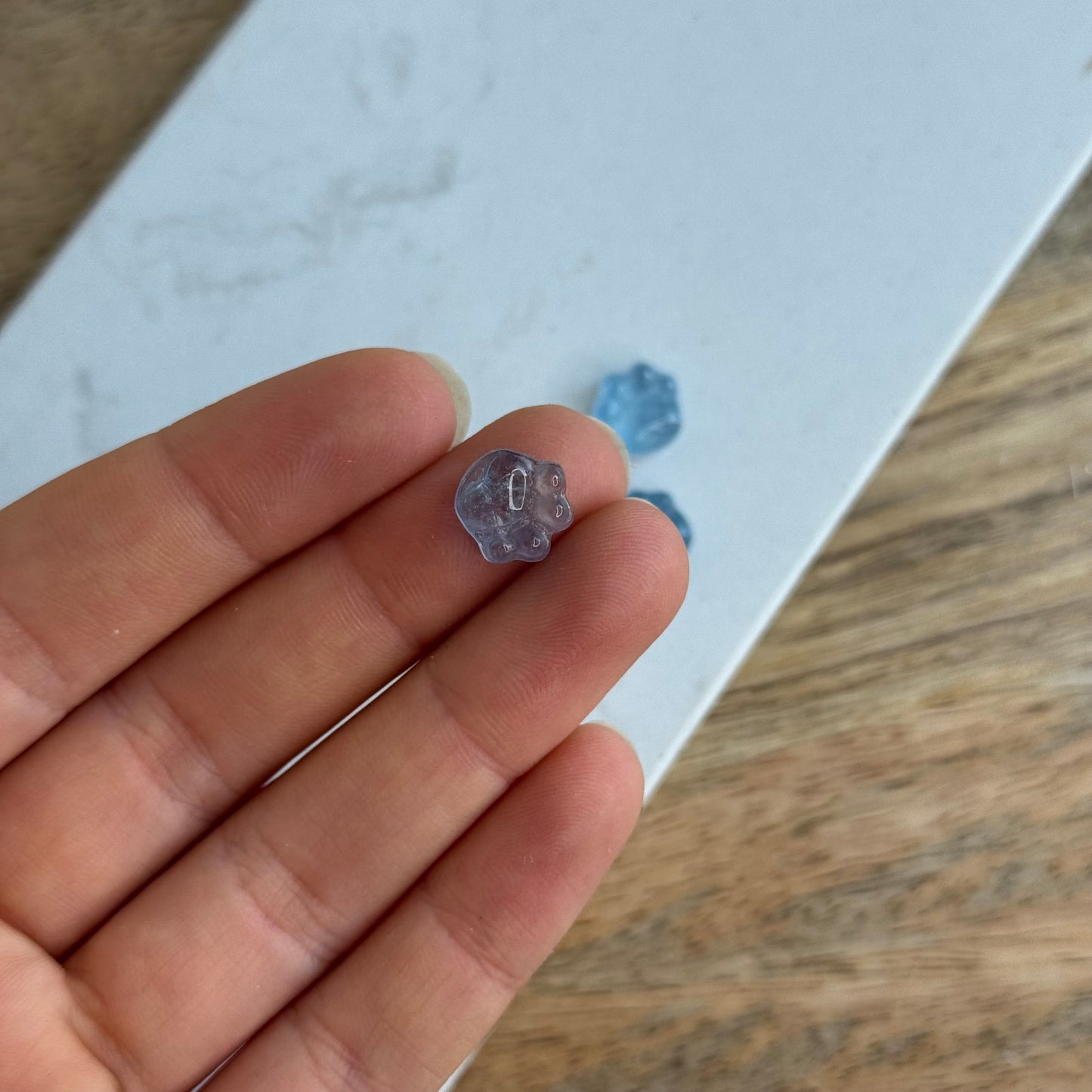 Mystery aquamarin Pfote