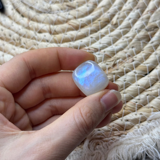 Regenbogen Mondstein /Weißer Labradorit Cabochon ~ 19CK