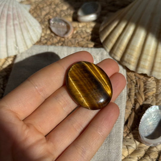 Tigerauge Cabochon ~ TA16