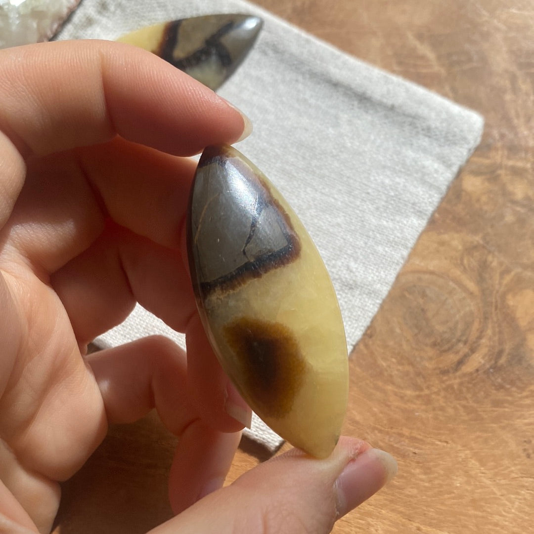 Septarie Cabochon ~ 16AAA
