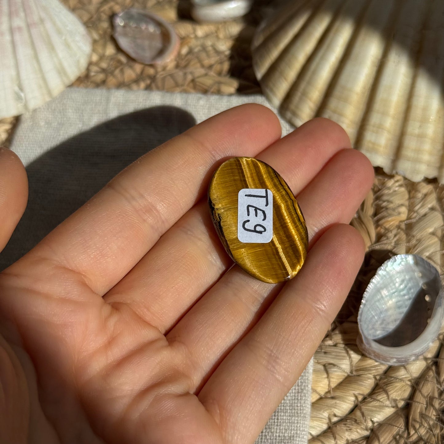 Tigerauge Cabochon ~ TE9