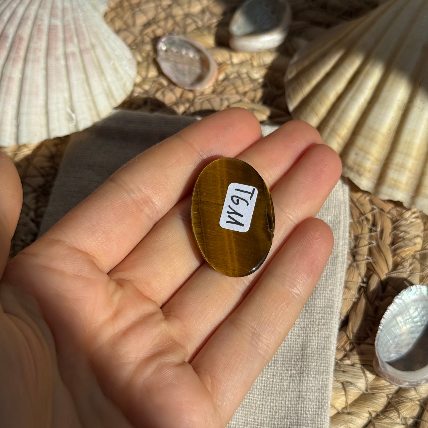 Tigerauge Cabochon ~ TG11
