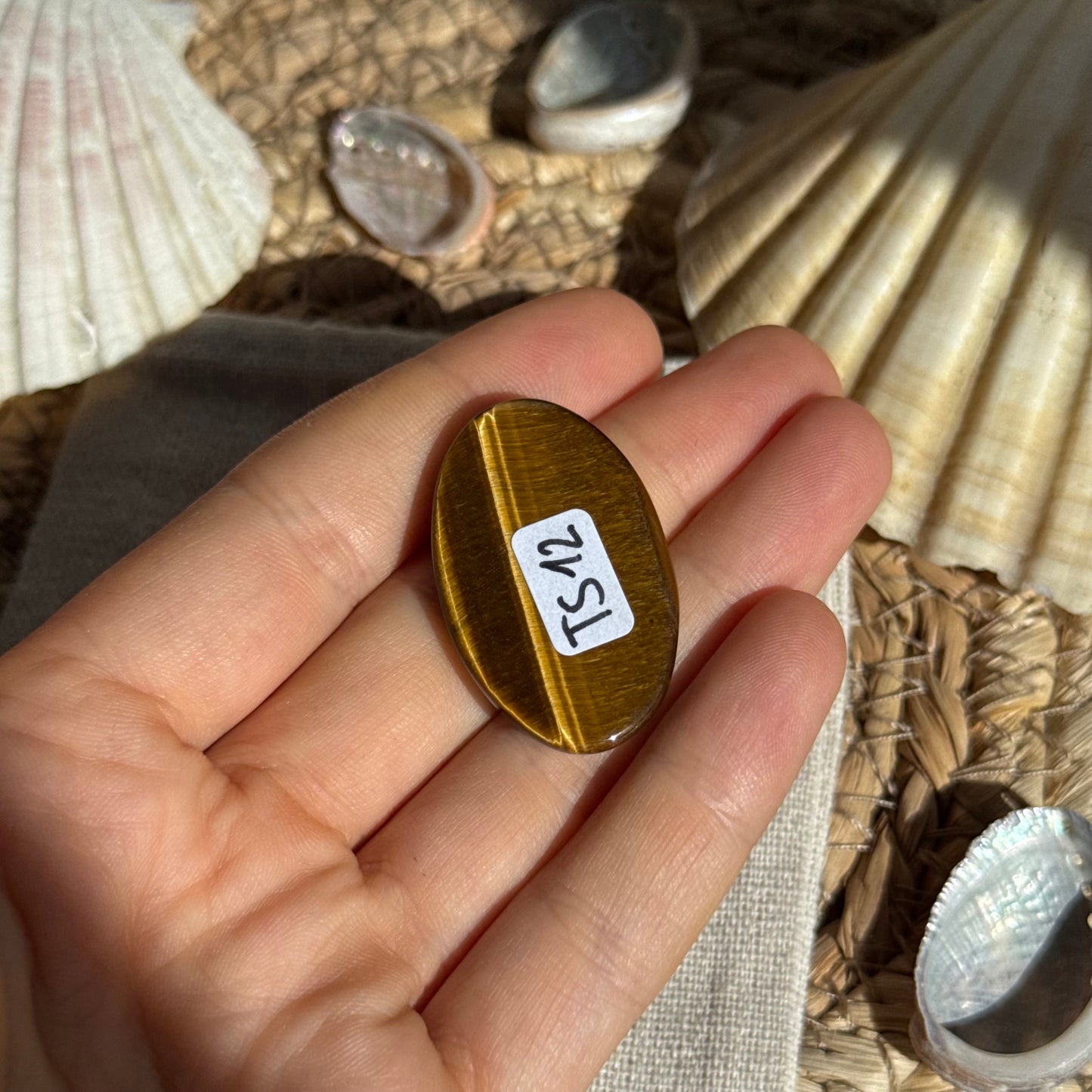 Tigerauge Cabochon ~ TS12