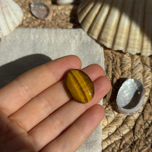 Tigerauge Cabochon ~ TA7