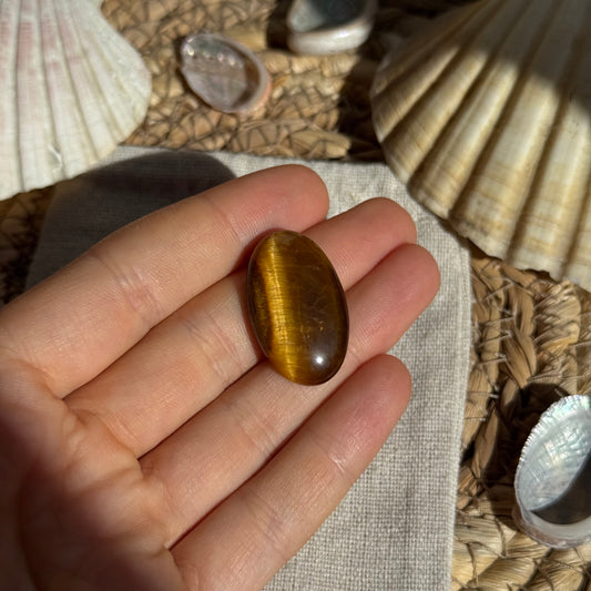 Tigerauge Cabochon ~ Ti8
