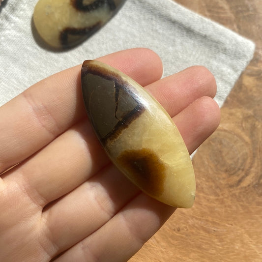 Septarie Cabochon ~ 16AAA