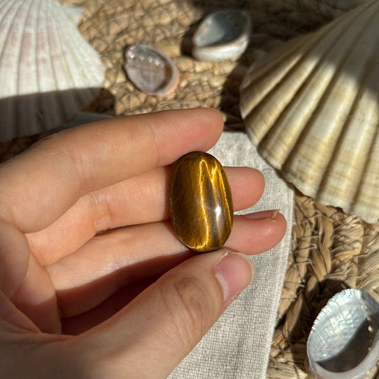 Tigerauge Cabochon ~ TO7