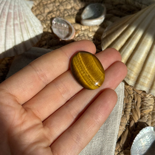 Tigerauge Cabochon ~ TZ8