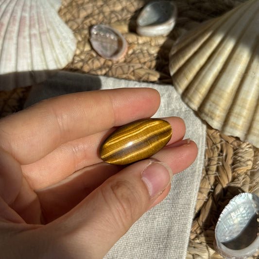 Tigerauge Cabochon ~ TT7