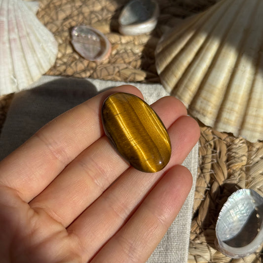 Tigerauge Cabochon ~ TN11