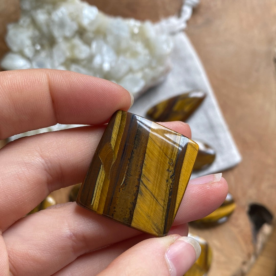 Tigerauge Cabochon ~ TQ