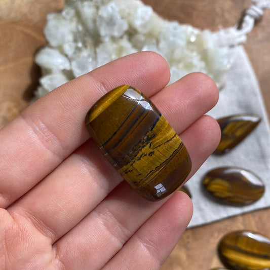 Tigerauge Cabochon ~ TA