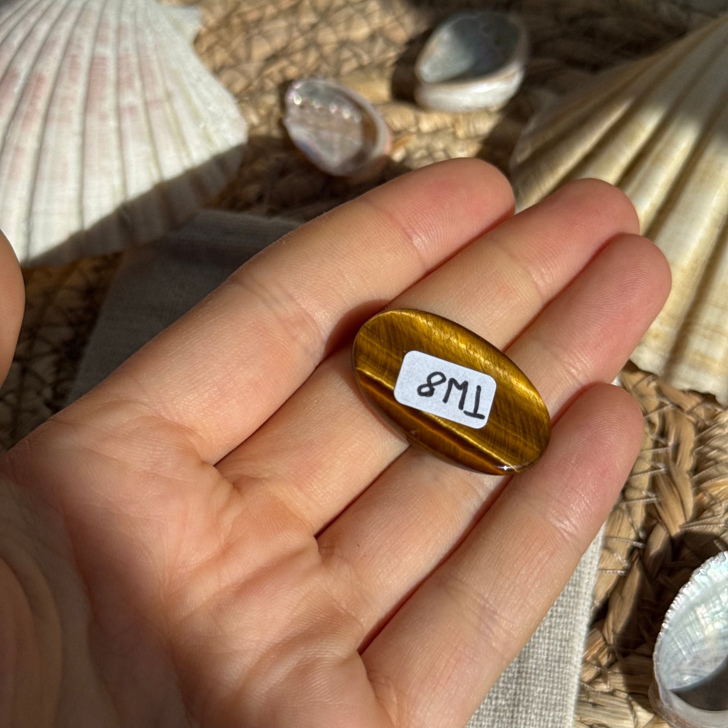 Tigerauge Cabochon ~ TW8