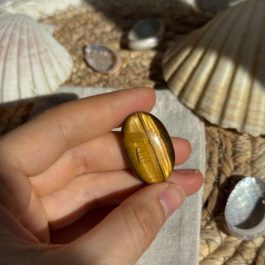 Tigerauge Cabochon ~ TA10