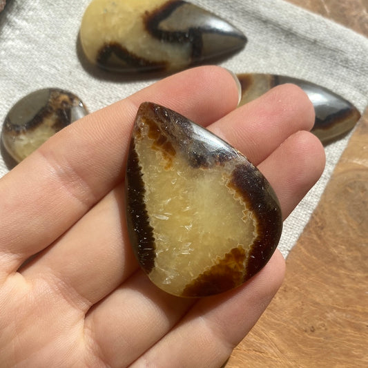 Septarie Cabochon ~ 13AC