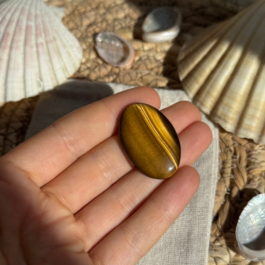 Tigerauge Cabochon ~ TO12