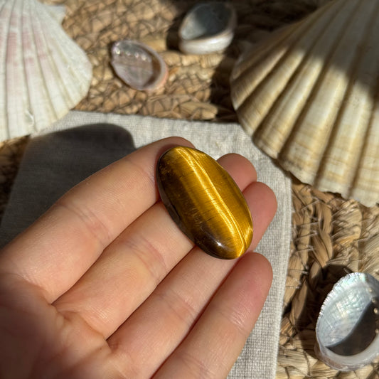 Tigerauge Cabochon ~ TN11