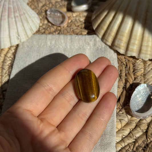 Tigerauge Cabochon ~ TA9