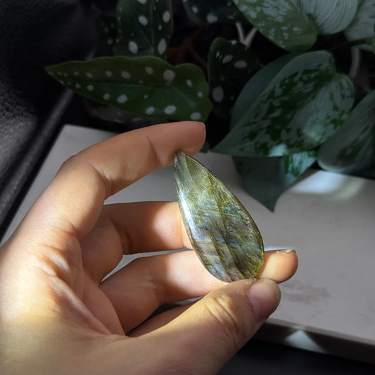 Labradorit Cabochon ~ 19Q