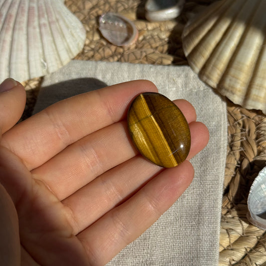 Tigerauge Cabochon ~ TB13