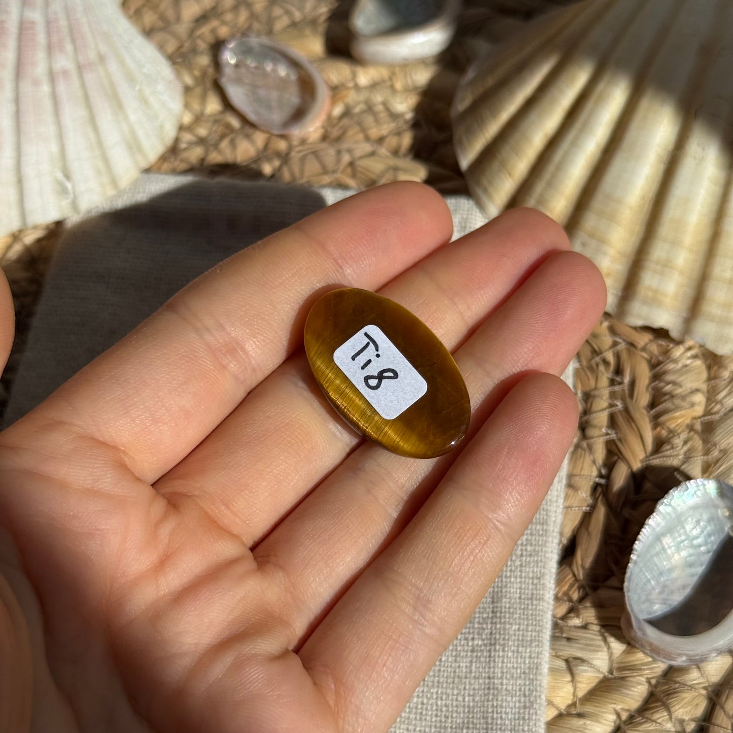Tigerauge Cabochon ~ Ti8
