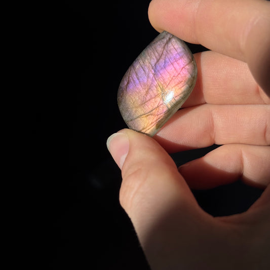 Lila Labradorit Cabochon ~ 14ZB