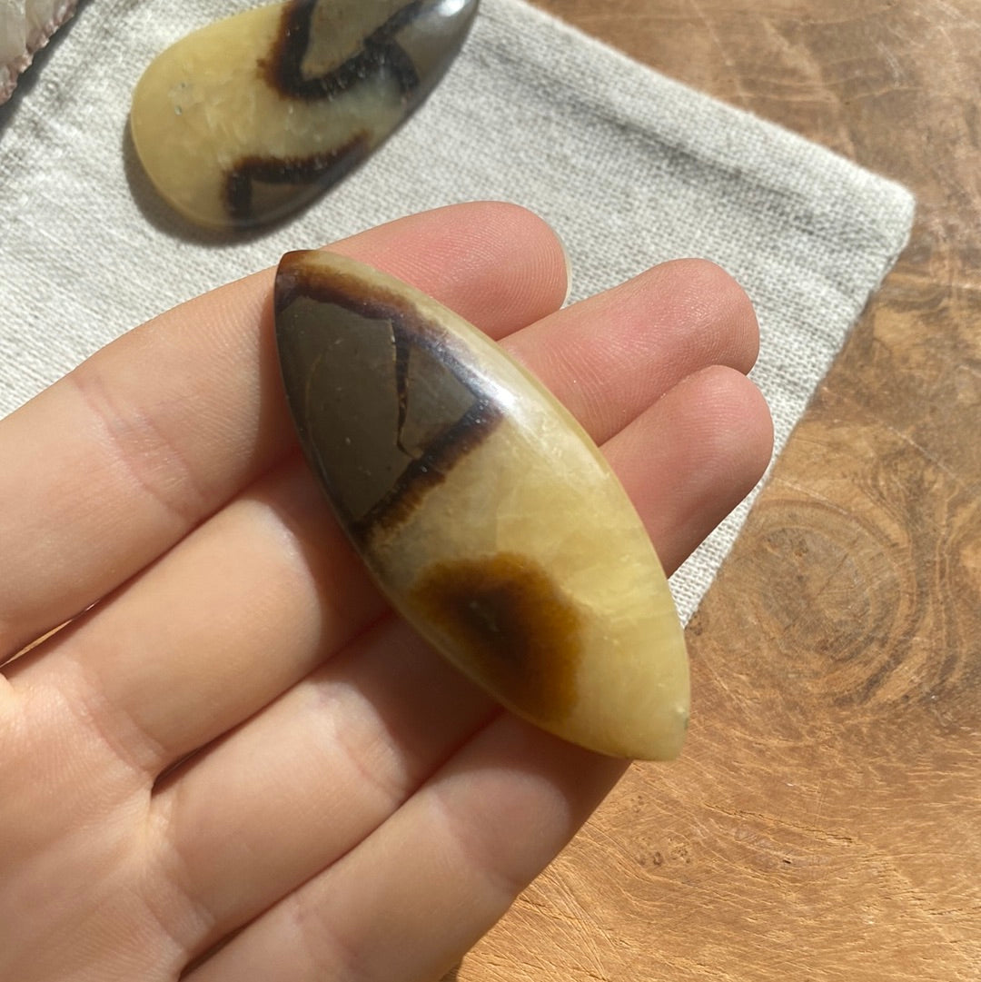 Septarie Cabochon ~ 16AAA