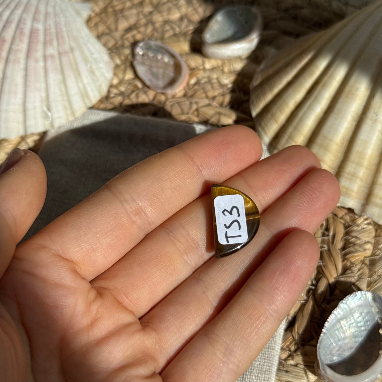 Tigerauge Cabochon ~ TS3