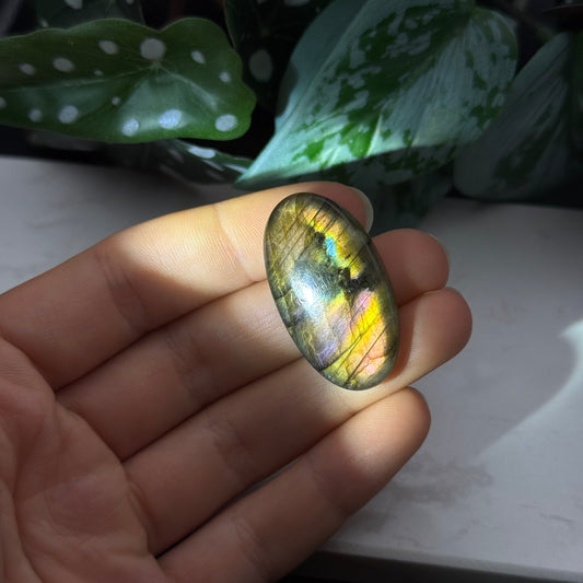 Labradorit Cabochon ~ 19N