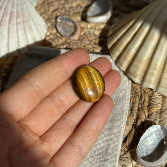 Tigerauge Cabochon ~ TS7