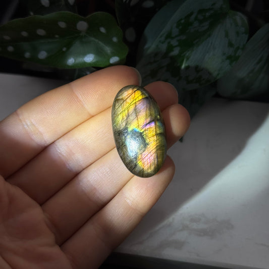 Labradorit Cabochon ~ 19N