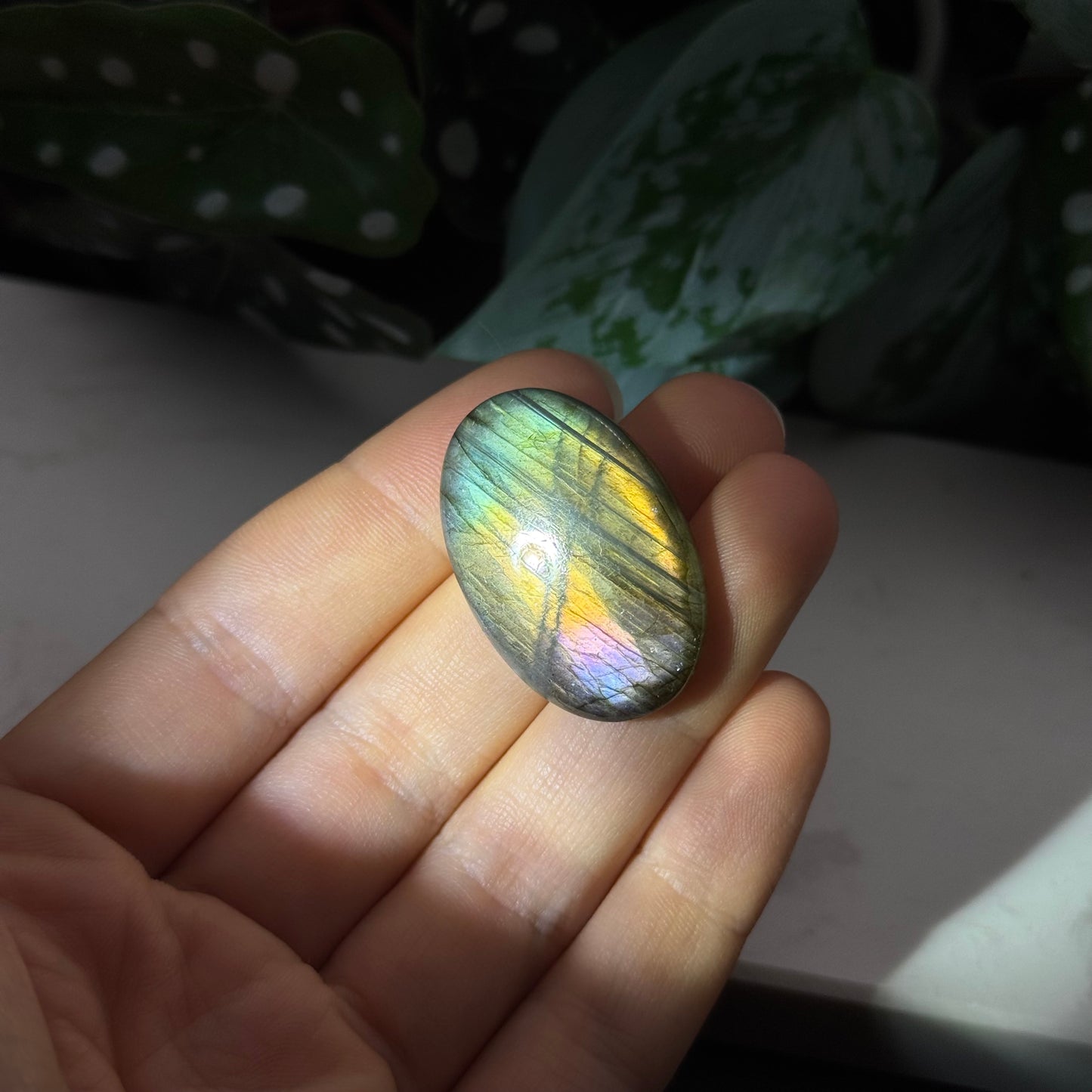 Labradorit Cabochon ~ 19L