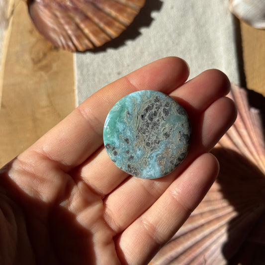 Larimar Scheibe ~ 36L