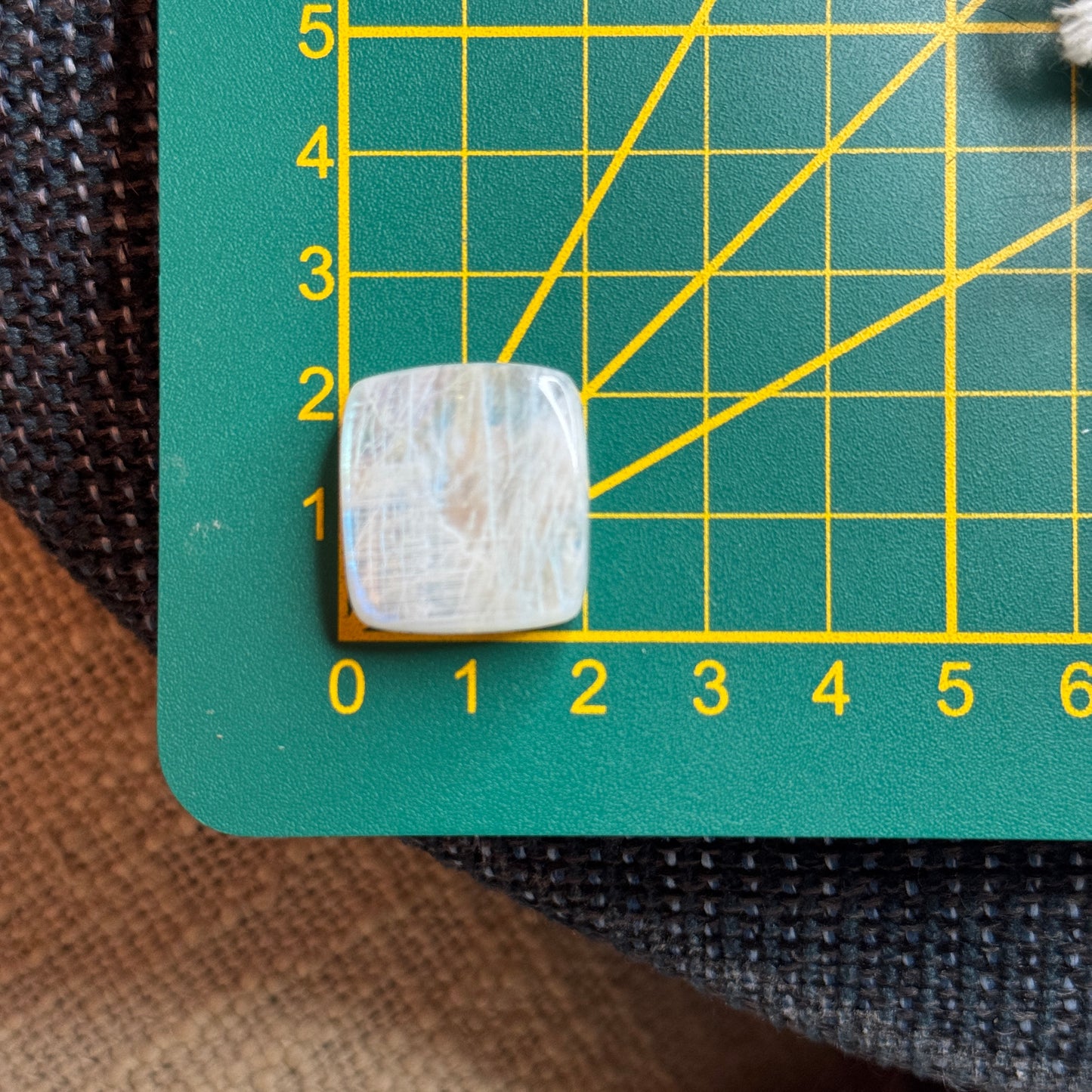 Regenbogen Mondstein /Weißer Labradorit Cabochon ~ 19CF