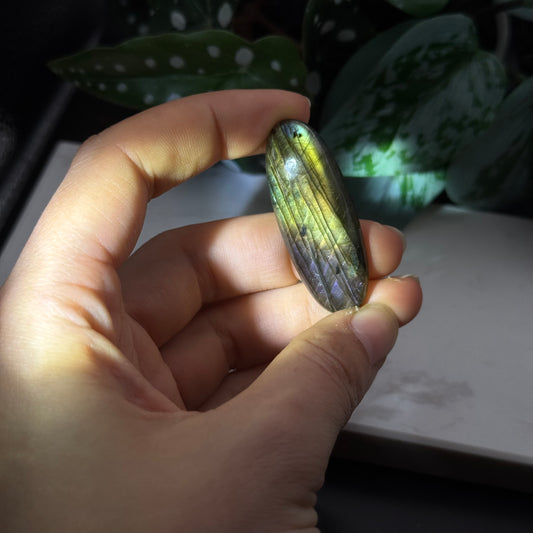 Labradorit Cabochon ~ 19G