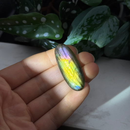 Labradorit Cabochon ~ 19G