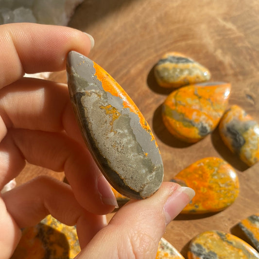 Bumbelbee Cabochon ~ 14ACA