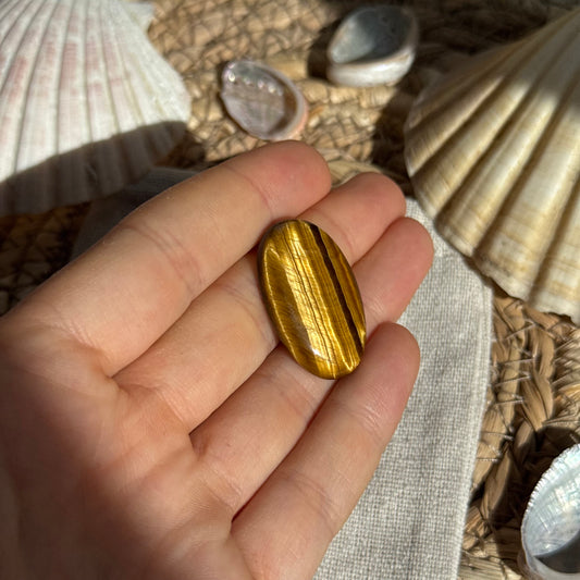 Tigerauge Cabochon ~ TW8