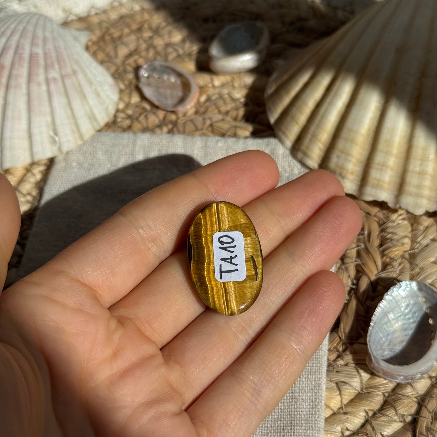 Tigerauge Cabochon ~ TA10