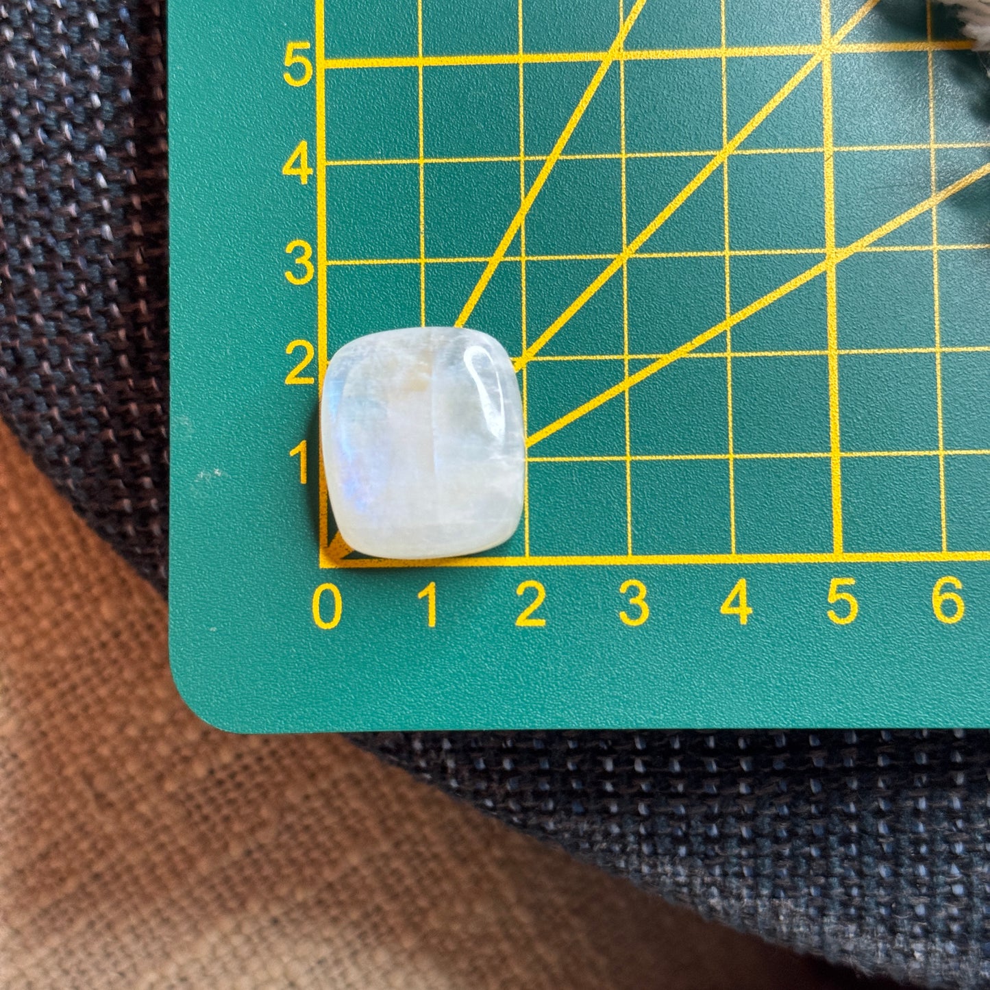 Regenbogen Mondstein /Weißer Labradorit Cabochon ~ 19CK