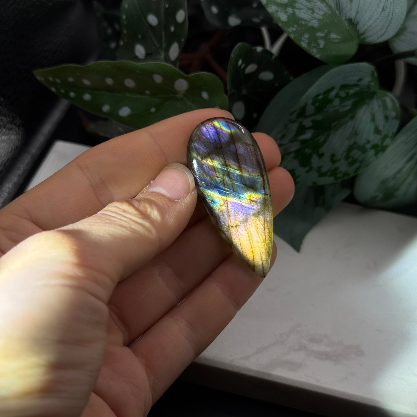 Labradorit Cabochon ~ 19Q