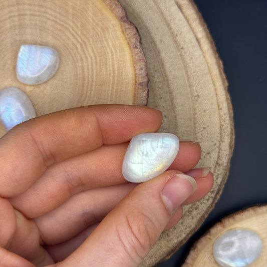 Regenbogen Mondstein /Weißer Labradorit Cabochon ~ 14CJ