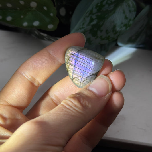 Labradorit Cabochon ~ 19H