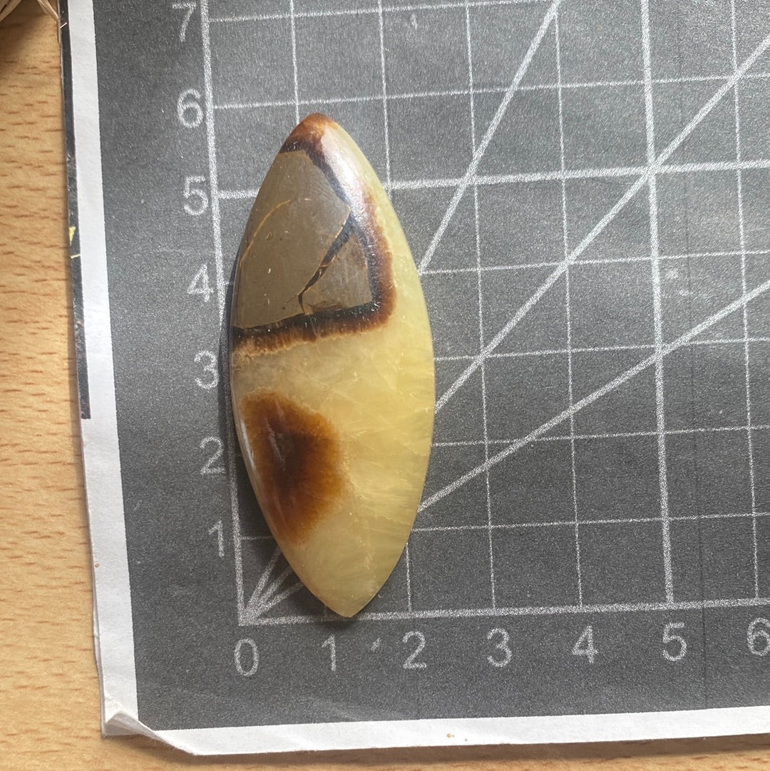 Septarie Cabochon ~ 16AAA