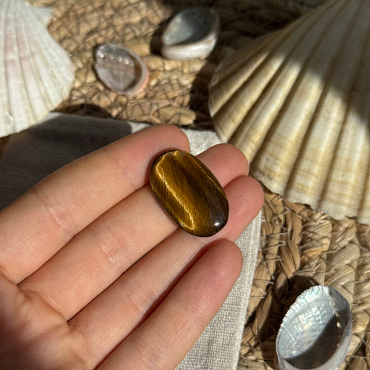 Tigerauge Cabochon ~ TO7