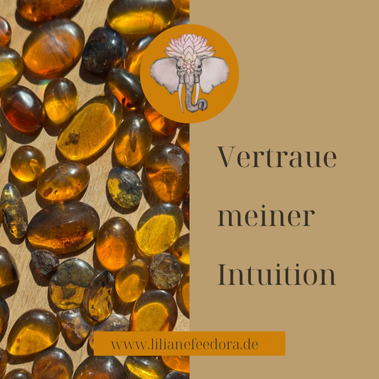 Bernstein Intuitiv Kette