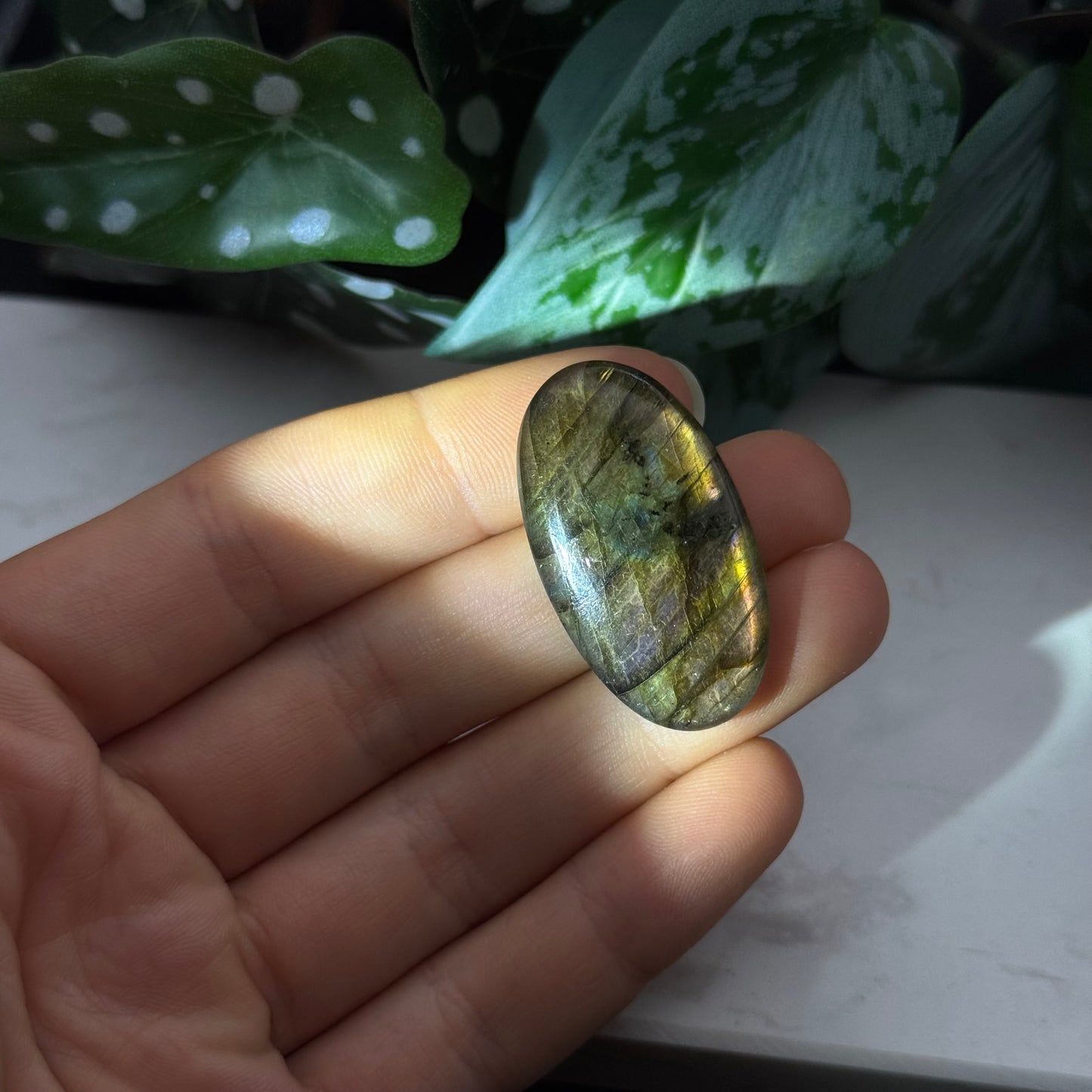 Labradorit Cabochon ~ 19N
